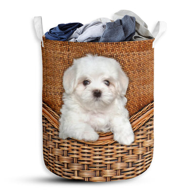 Maltese Dog Rattan Teaxture - Laundry Basket - Owls Matrix LTD