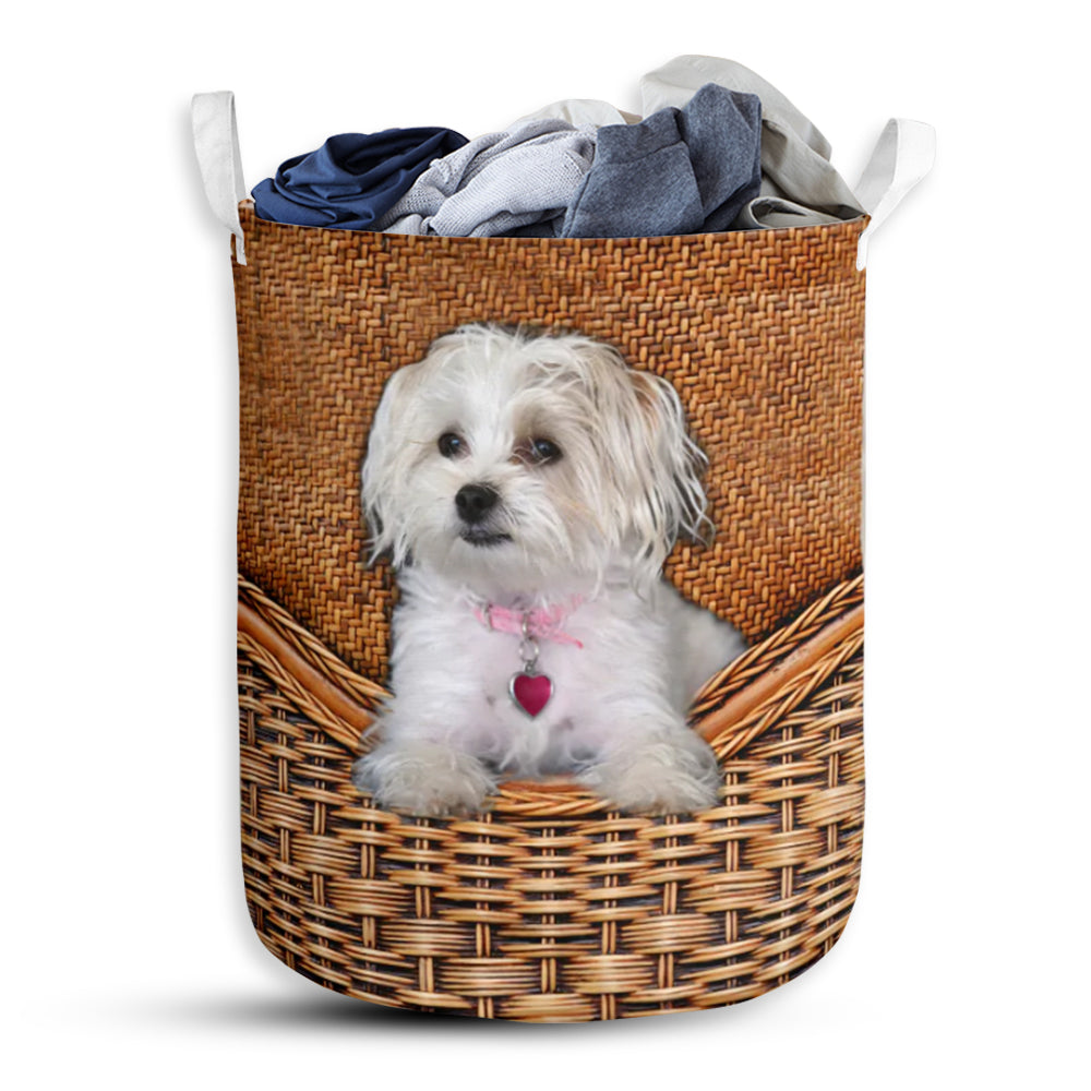 Maltese Terrier Dog Rattan Teaxture - Laundry Basket - Owls Matrix LTD